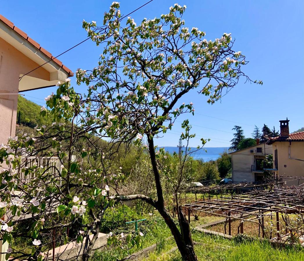Villa Flamingo Mošćenička Draga Dış mekan fotoğraf